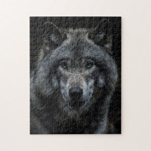 Grauer Wolfswald Wildtiere Natur Nah aufpassen Puzzle