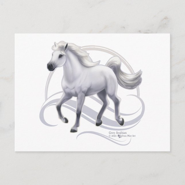 Graues Arabian Postkarte (Vorderseite)