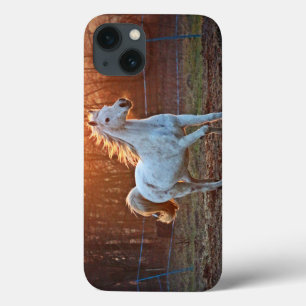 Graues arabisches Pferd Case-Mate iPhone Hülle