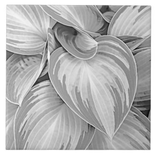 Graues Blumendekor Muster  Fliese