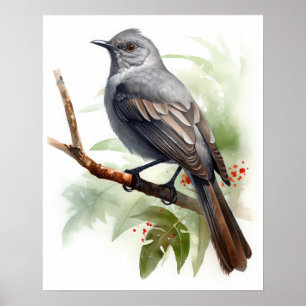 Graues Catbird Bird Art Print Poster
