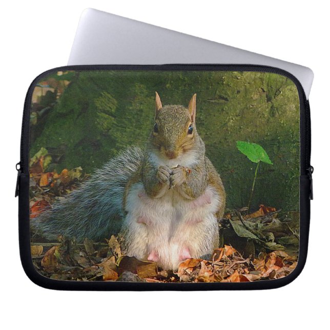 Graues Eichhörnchen 01 Laptopschutzhülle (Vorderseite)