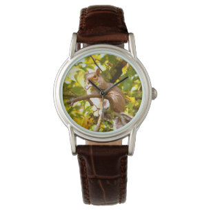 Graues Eichhörnchen Armbanduhr