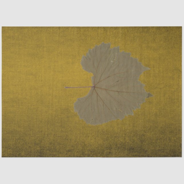 Graues getrocknetes Blatt auf Vintagem Senf Seidenpapier (Vorderseite)