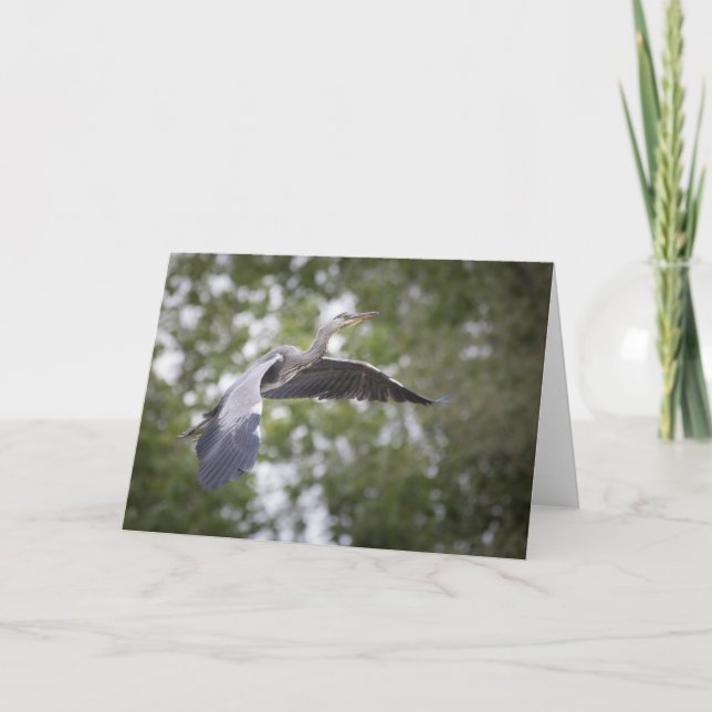 Graues Heron Nature Foto Karte (Vorderseite)