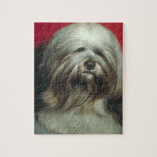 Graues Hundepuzzlespiel Lhasas Apso Puzzle