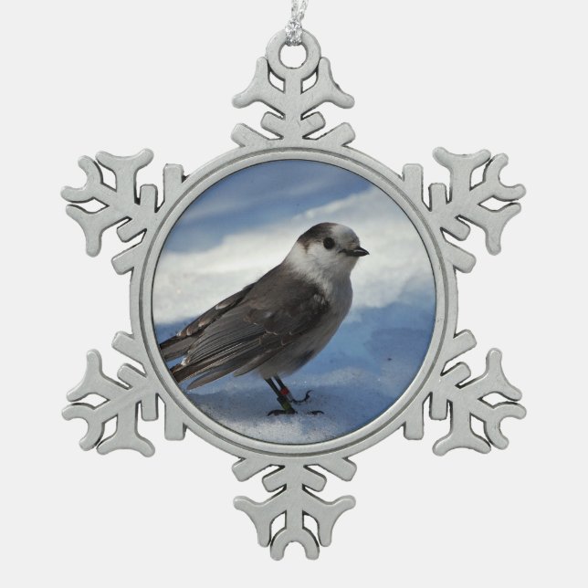 Graues Jay im Schnee Schneeflocken Zinn-Ornament (Vorderseite)