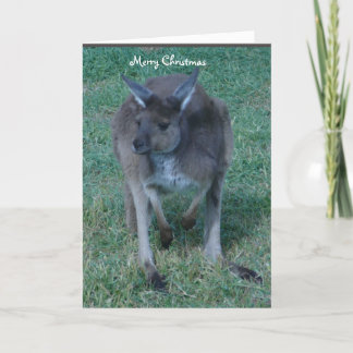 Graues Känguru-Weihnachten Feiertagskarte