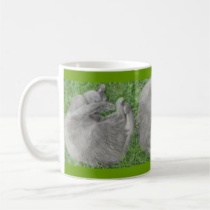 Graues Katzen-Nickerchen Tasse