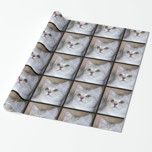 Graues Katzen-Packpapier Geschenkpapier (Ungerollt)