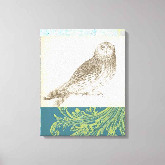 Graues Owl im Muster-Hintergrund Leinwanddruck (Vorderseite)