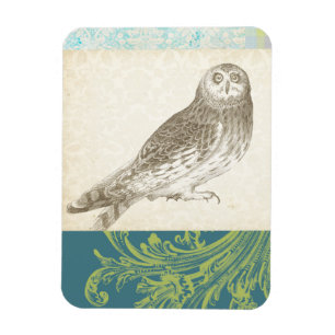 Graues Owl im Muster-Hintergrund Magnet
