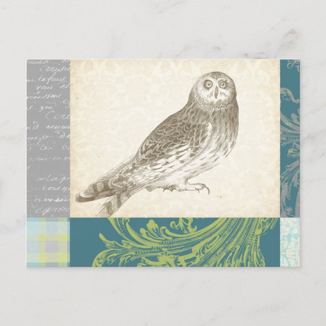 Graues Owl im Muster-Hintergrund Postkarte (Vorderseite)