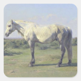Graues Pferd in einem Feld (von Rosa Bonheur) Quadratischer Aufkleber