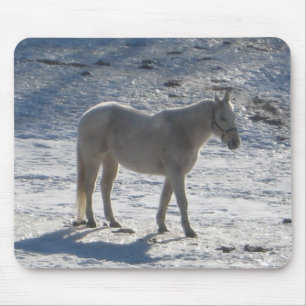 Graues Pferd Mousepad