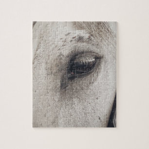 Graues Pferd, Nahes Auge Puzzle
