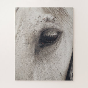 Graues Pferd, Nahes Auge Puzzle