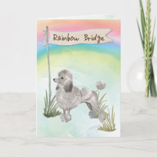 Graues Poodle Beileid über der Regenbogenbrücke Karte