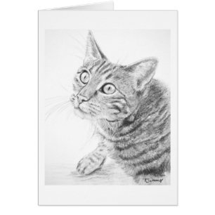 Graues Tabby-Katzen-Zeichnen