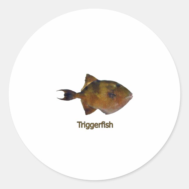 Graues Triggerfish-Logo Runder Aufkleber (Vorderseite)