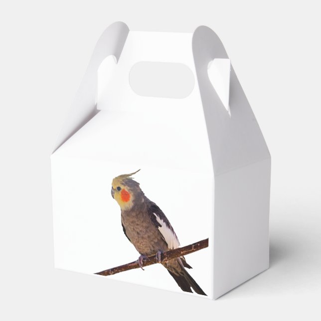 Graues und gelbes Cockatiel Pet Bird Color Foto Geschenkschachtel (Vorderseite)