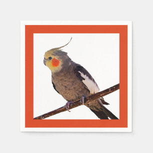 Graues und gelbes Cockatiel Pet Bird Color Foto Serviette