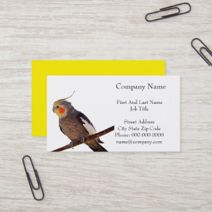 Graues und gelbes Cockatiel Pet Bird Color Foto Visitenkarte