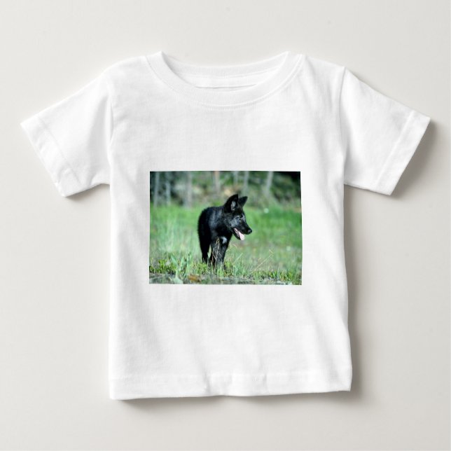 Graues Wolf-Sommer (Schwarzphase) Junges Baby T-shirt (Vorderseite)