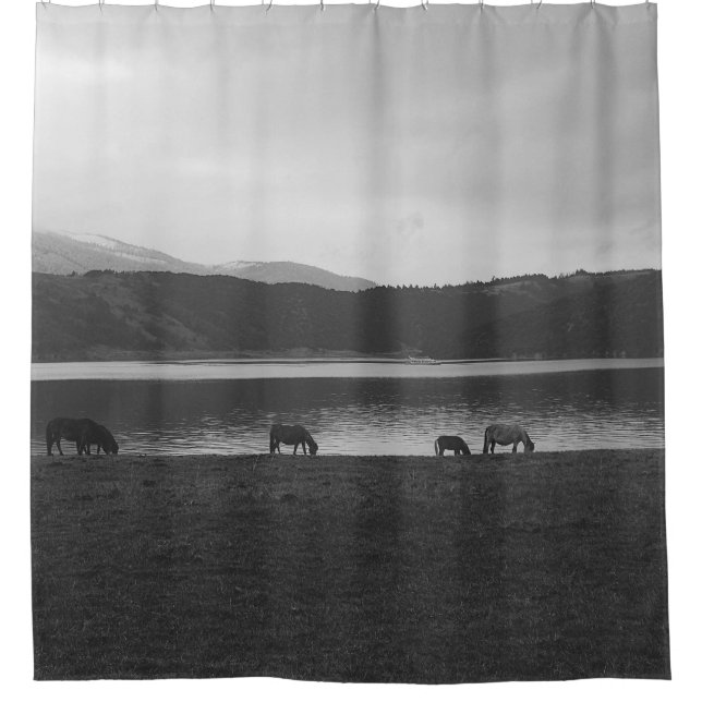 GRAUFOTOGRAFIE VON TIEREN DUSCHVORHANG (Vorderseite)