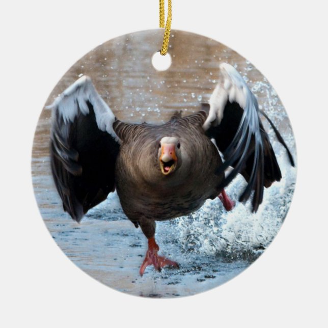 Graugans auf der Chase Keramik Ornament (Vorne)