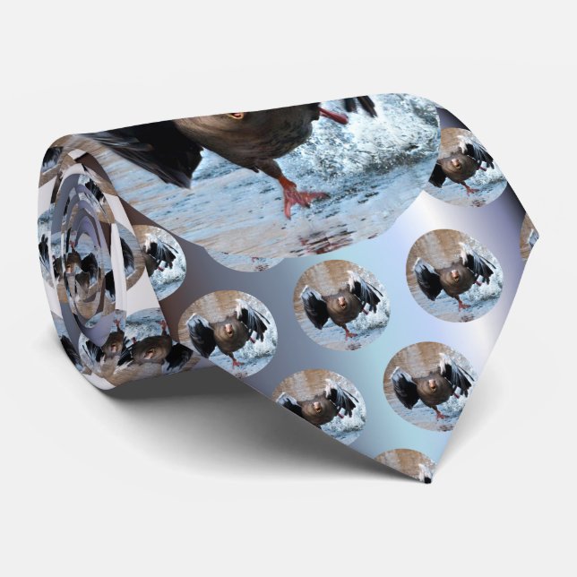 Graugans-Gans auf der Verfolgung Krawatte (Gerollt)