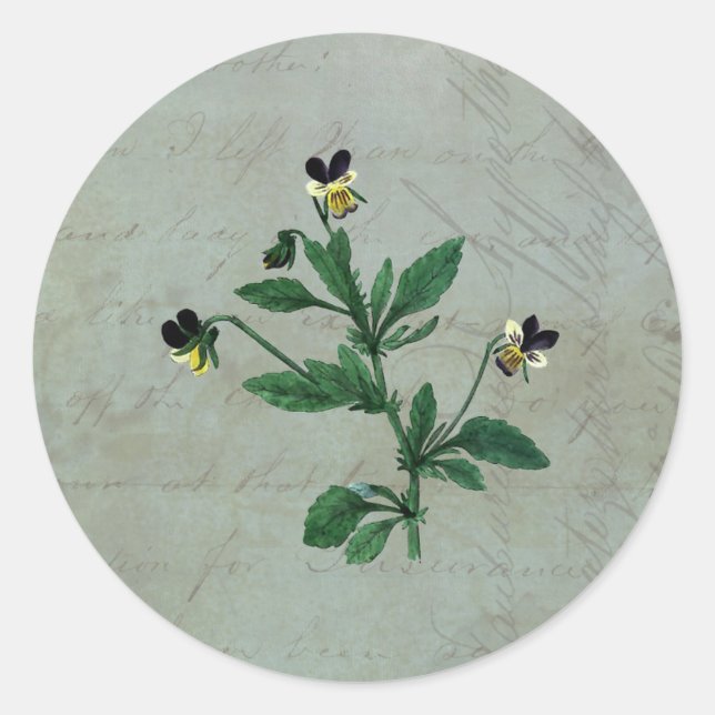 Graugrün mit botanischen Veilchen Runder Aufkleber (Vorderseite)