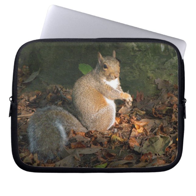 Grauhörnchen 03 laptopschutzhülle (Vorderseite)