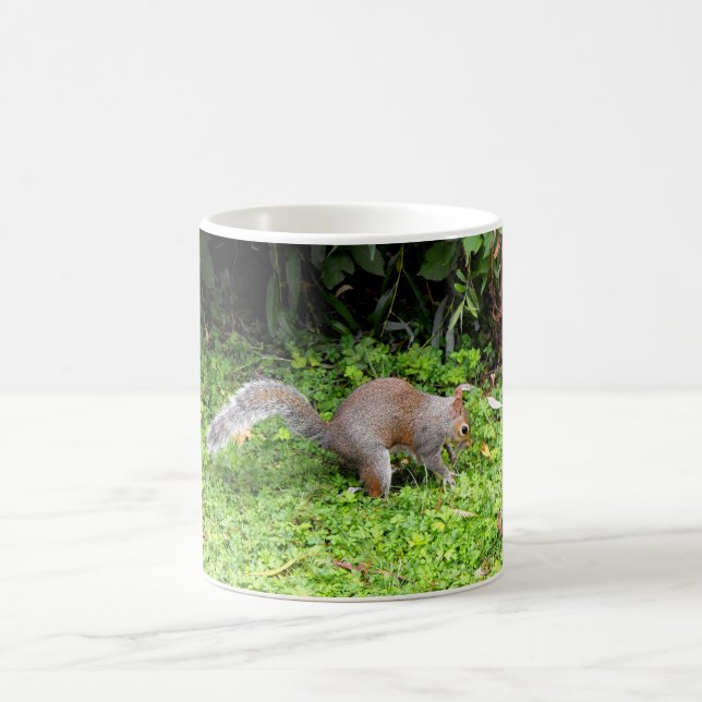 Grauhörnchen Kaffeetasse (Mittel)