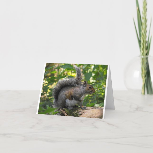 Grauhörnchen Karte (Vorderseite)