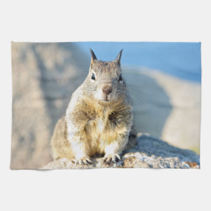 Grauhörnchen, Monterey Bay, Kalifornien Geschirrtuch