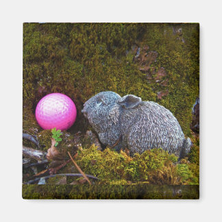 Graukaninchen / sonnige und rosa Golfkugel Magnet
