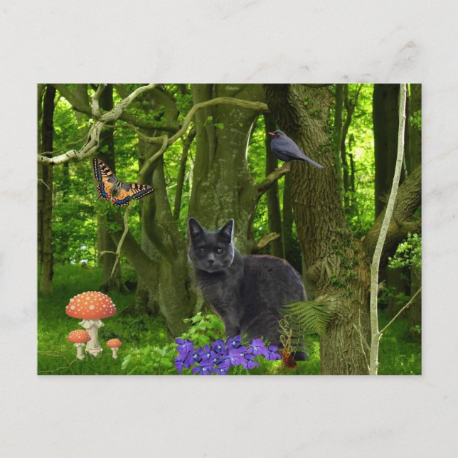 Graukatze im Wald Postkarte (Vorderseite)