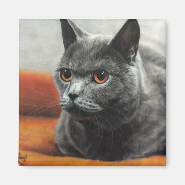 Graukatze mit orangefarbenen Augen Magnet (Vorne)