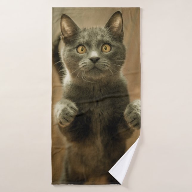 GRAUKKATZE STEHEND IN ZWEI FÜSSEN BADEHANDTUCH (Badehandtuch)