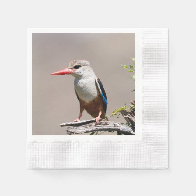 Graukopfkraut Serviette (Vorderseite)