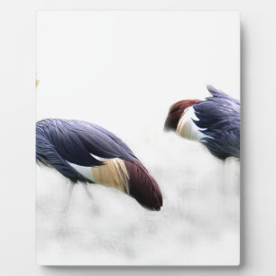 Graukronenkranich-Vogel-Flügel-Federn Fotoplatte