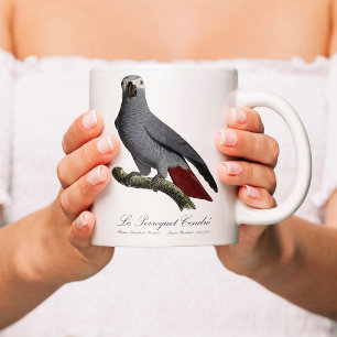 Graupapagei, Psittacus erithacus, Vintage Verwandlungstasse