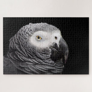 Graupapagei Puzzle