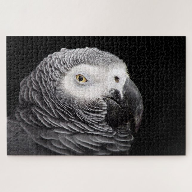Graupapagei Puzzle (Horizontal)