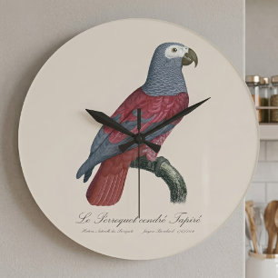 Graupapagei Rotfaktor Psittacus Erithacus Große Wanduhr