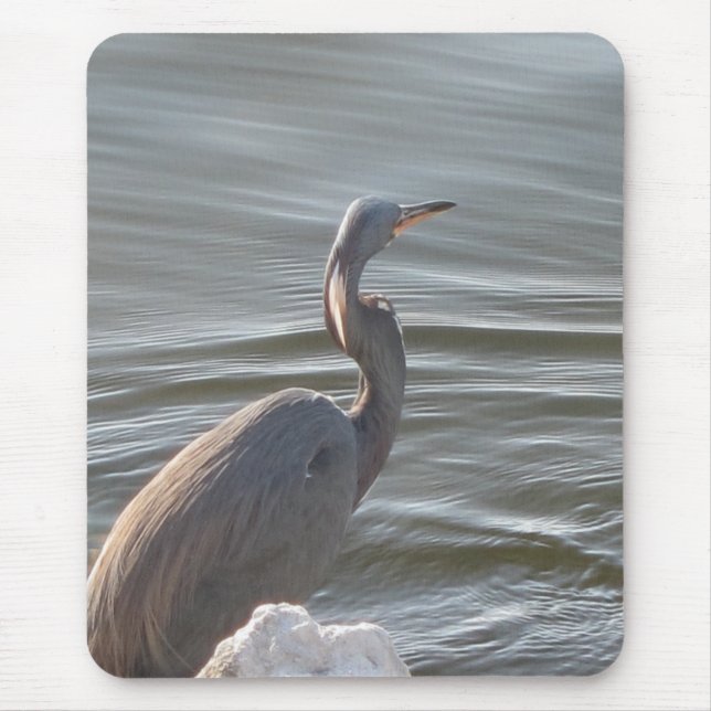 Graureiher am Wasser Mousepad (Vorne)