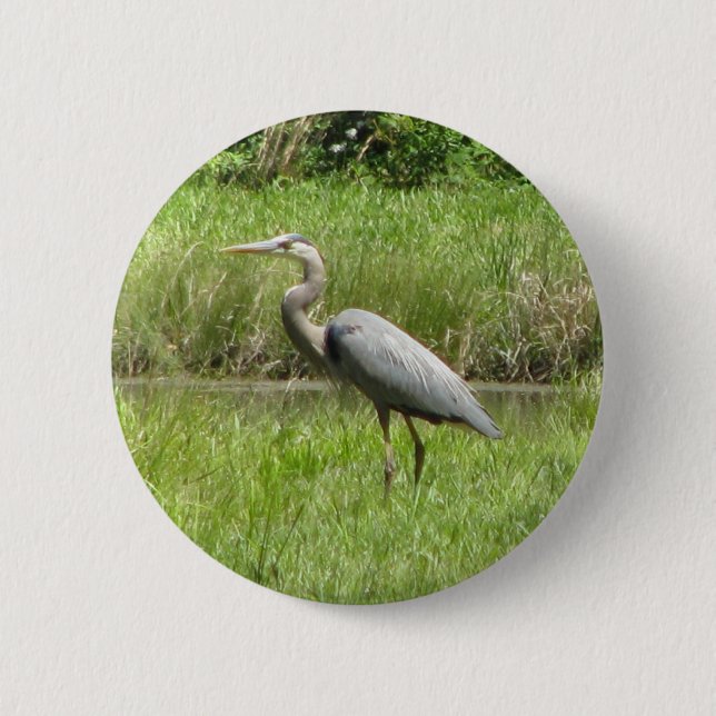 Graureiher Button (Vorderseite)