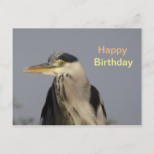 Graureiher-Happy-Birthday-Grußkarte Postkarte