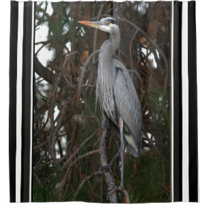 Graureiher-Vogel-Tier-Tier-Vorhang Duschvorhang